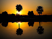 Photography by Mansfield Media