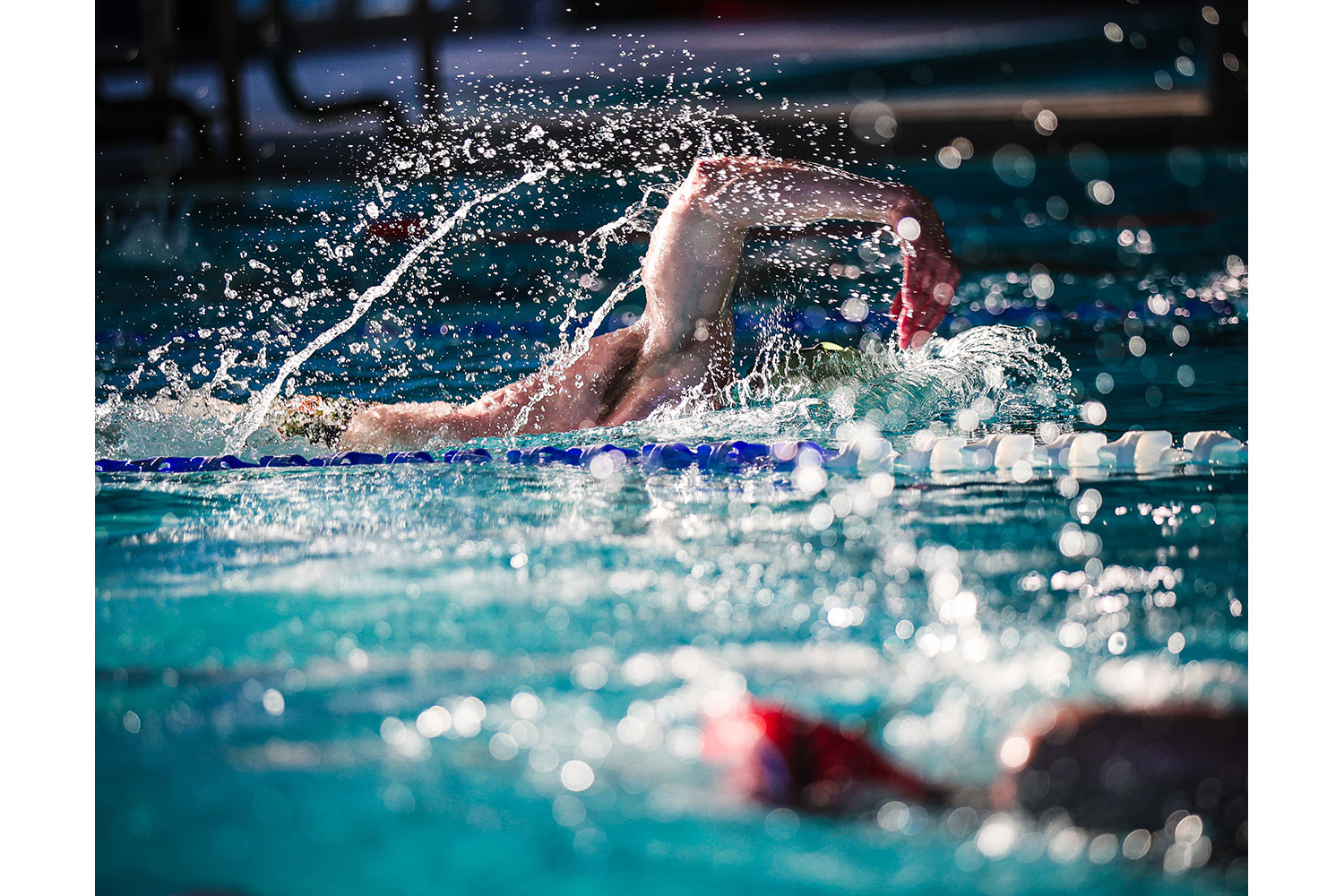 Swimming photography by Mansfield Media