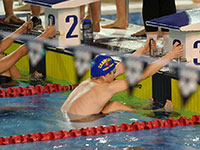 Swimming photography by Mansfield Media