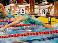 Swimming photography by Mansfield Media