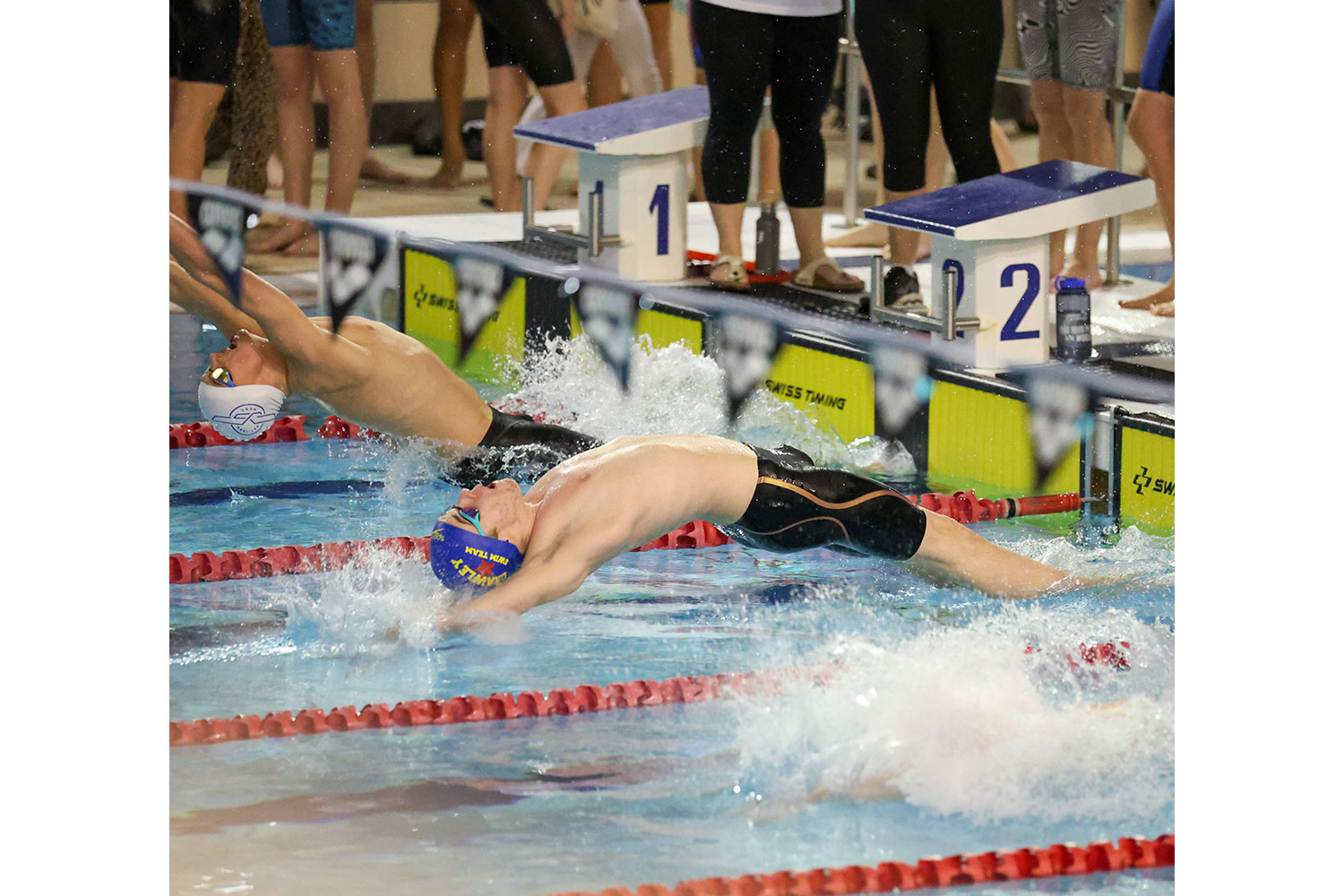 Swimming photography by Mansfield Media