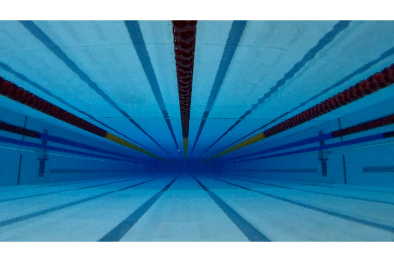 Swimming photography by Mansfield Media