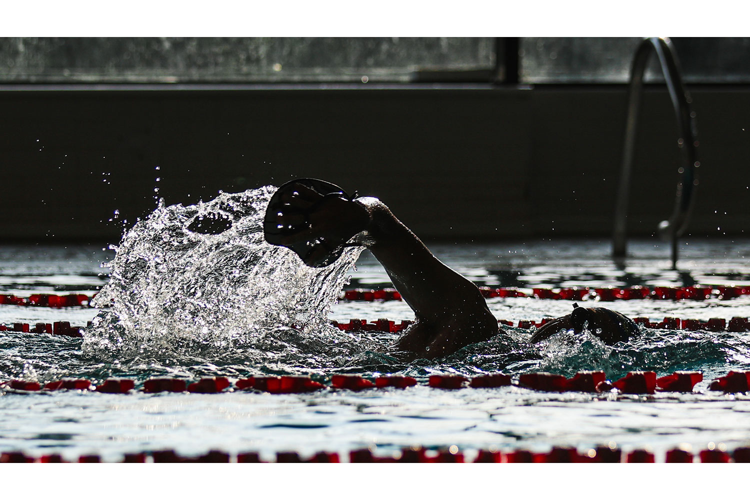 Swimming photography by Mansfield Media