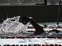 Swimming photography by Mansfield Media