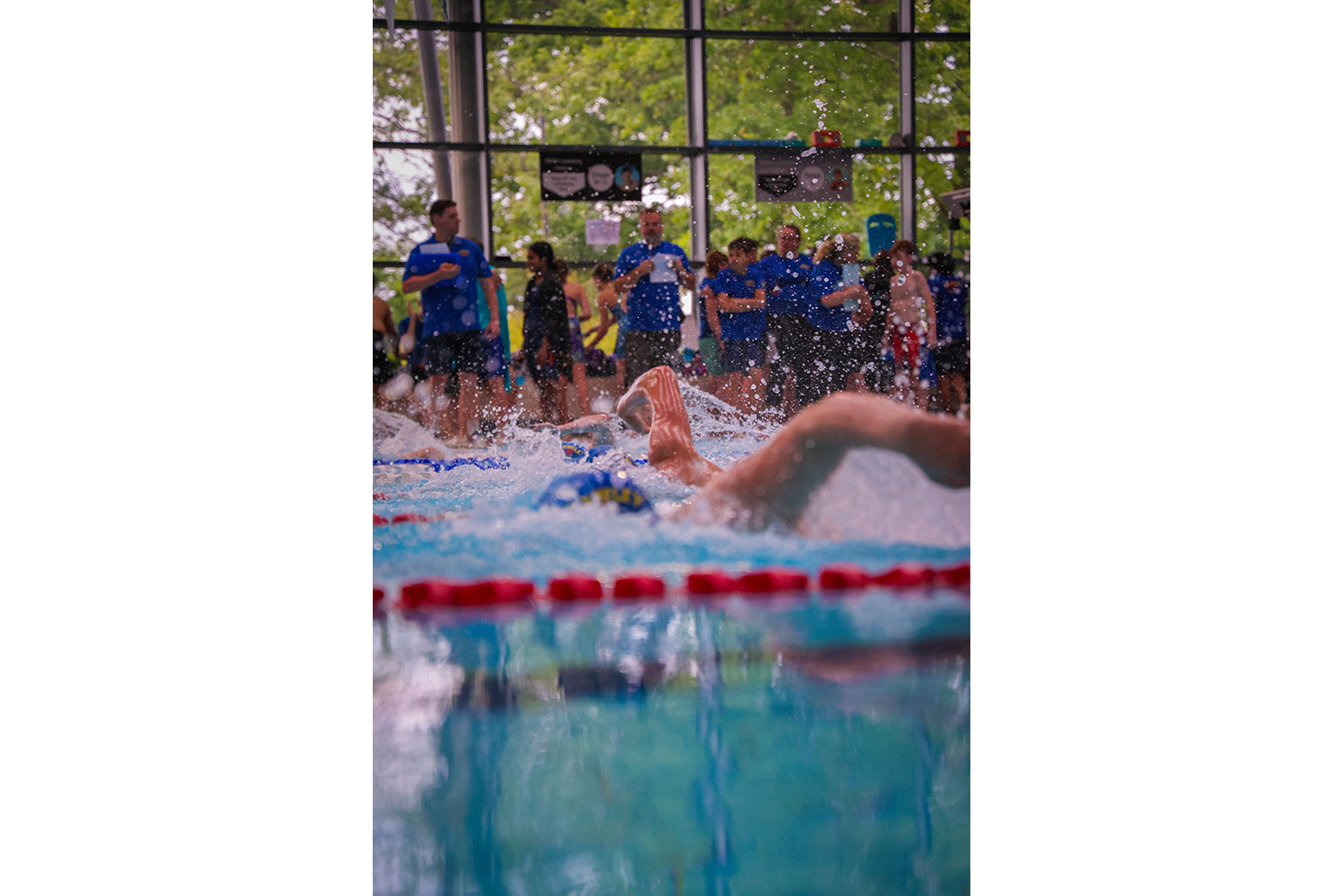 Swimming photography by Mansfield Media