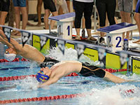 Swimming photography by Mansfield Media