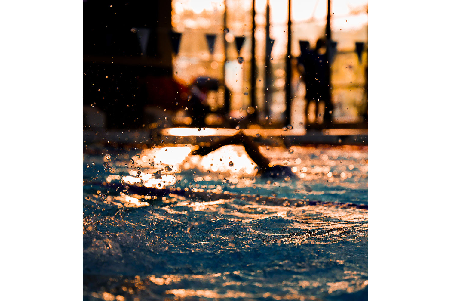 Swimming photography by Mansfield Media