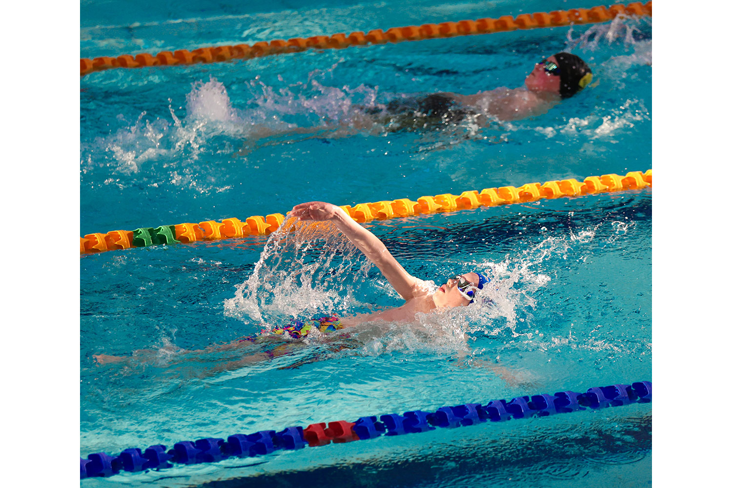 Swimming photography by Mansfield Media