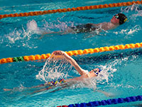 Swimming photography by Mansfield Media